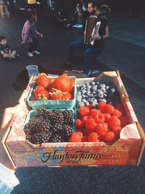 Berries from hayton farm!!