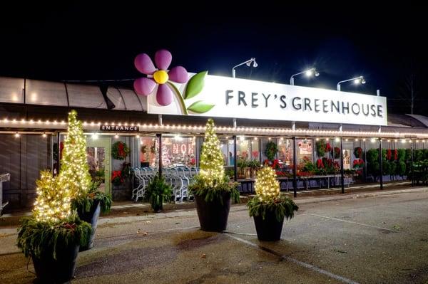 Cut, live Christmas trees in Lebanon, PA will be for sale starting 11/24/15 at Frey's Greenhouse! See site for hours.