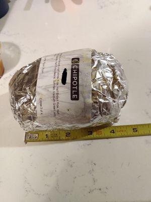 World's tiniest burrito