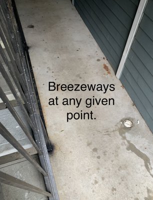 Conditions of breezeways.