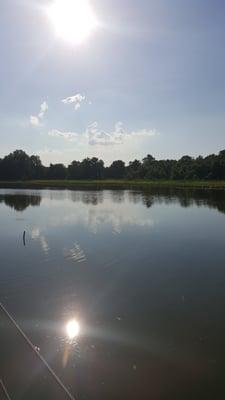 Schoolhouse Pond near the courthouse.