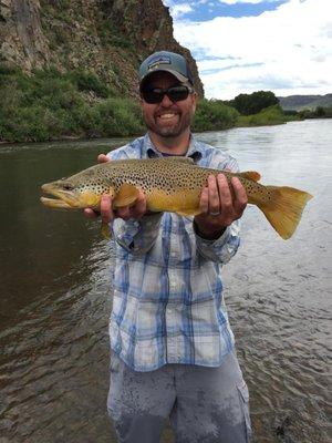 Big Brown on The Rio Grande