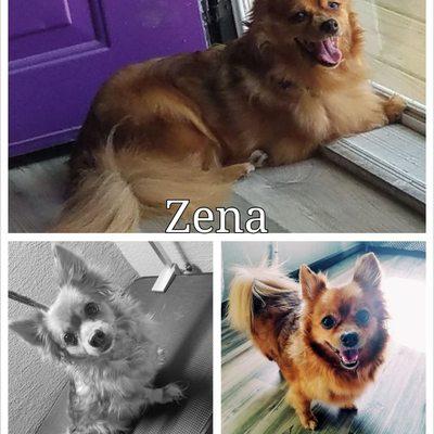 Hey Zena!