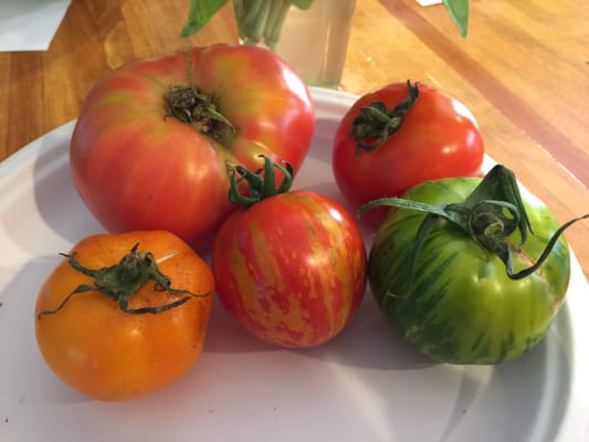 Heirloom tomatoes