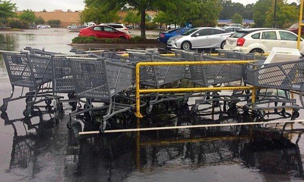 This is not a holiday. Bed Bath & Beyond parking lot.