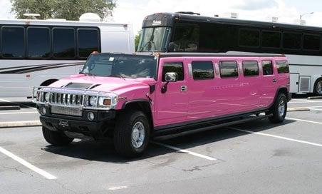 Orlando Pink Limo