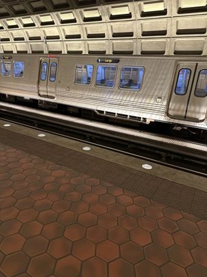 Silver Line train