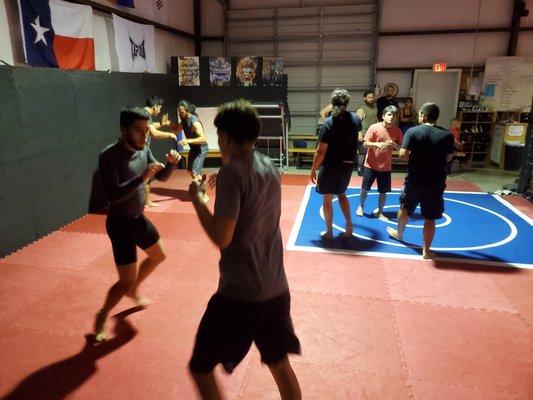 Txo Mma Program