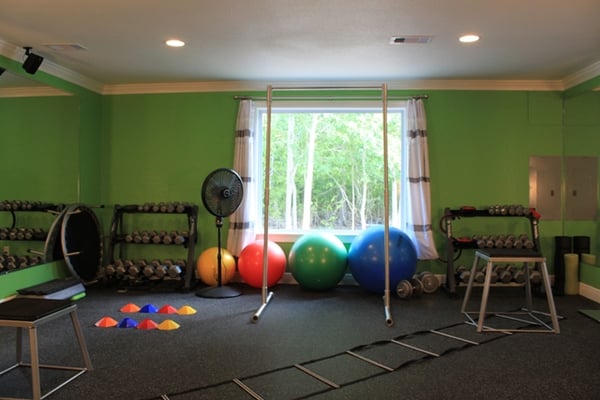 Other half of private exercise room (view of the woods!)