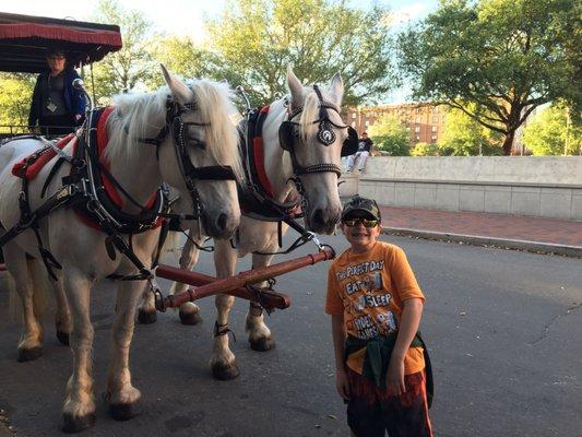 Matthew insisted on a picture with our horses, Emmie and Cinder!