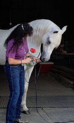 Photo Shoot with my stallion. Natural curly hair can be unruly but Alisha keeps them looking great!