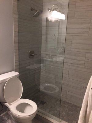 New walk in shower in master bathroom