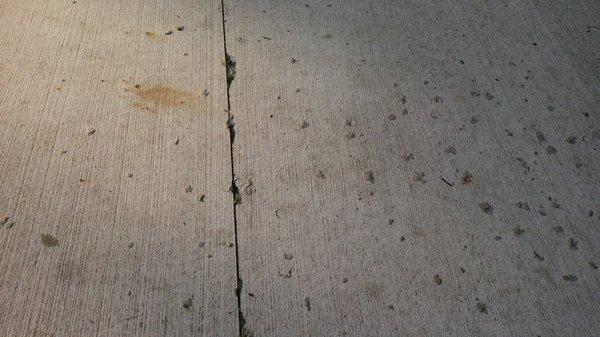 "Pop" in three year old driveway due to inferior Cemstone concrete.