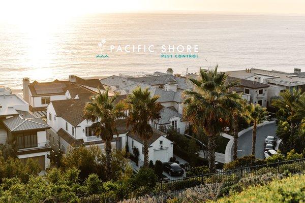 Pacific Shore Pest Control