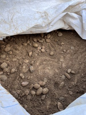 Sand and Colorado rocks