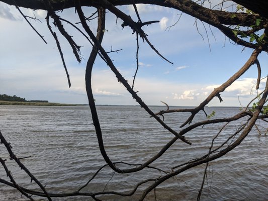 Eastern Neck National Wildlife Refuge