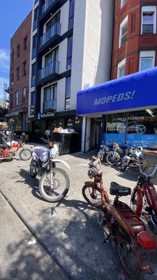 NYC Mopeds