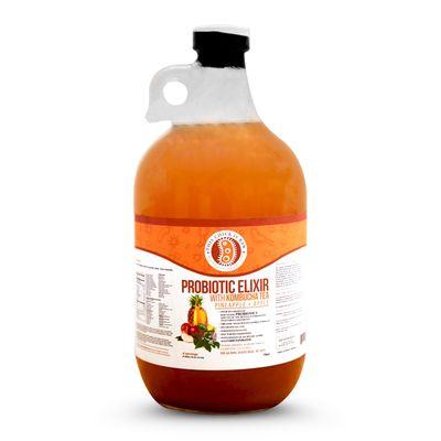 Delicious Kombucha pineapple Apple ***vegan*** ***Organic***