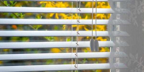 Blinds give you lots of style and privacy options for your window dressing.