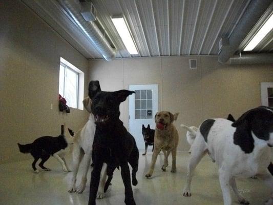 Indoor playroom for days that are too hot or too cold.