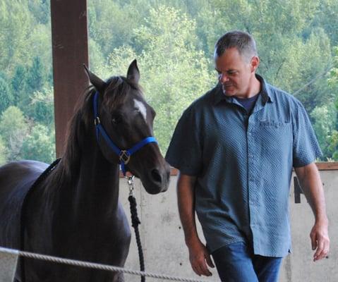 Tartan's Ridge Equine Services