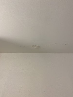 Some maintenance definitely needed. This is the bathroom ceiling.