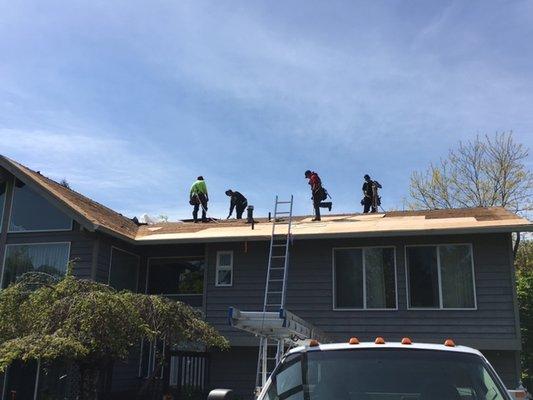 New roof installation