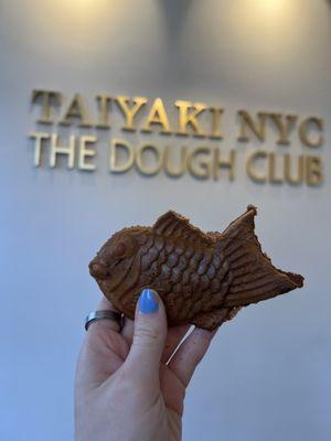 Red bean Taiyaki