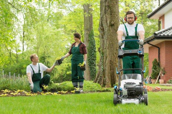 TM Lawn Care & Home Improvements