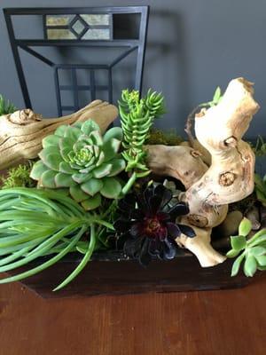 Succulent garden box!