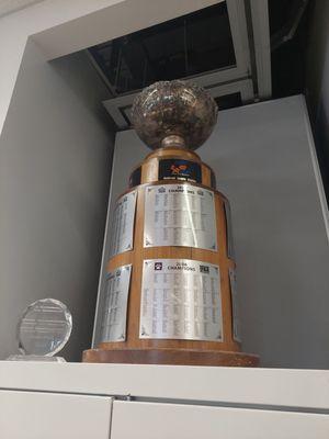 The Cup