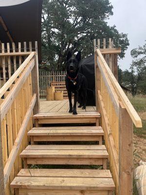 Construction: Stairs & Railings