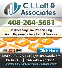 C L Lott & Associates