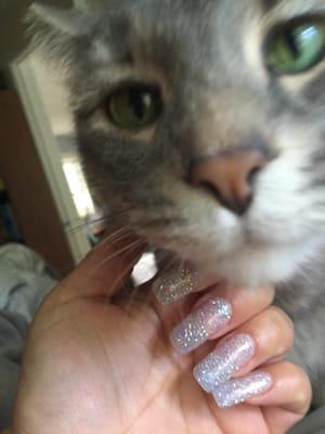 Long glittery nails, great for kitty scratches!