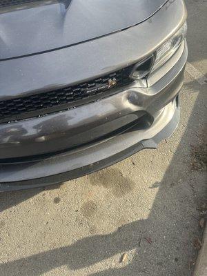 My damn bumper