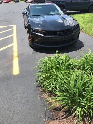 2019 Camaro LS 6 Speed manual