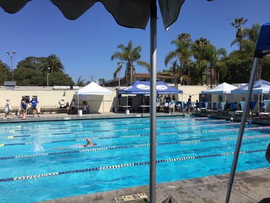 Santa Barbara swim club meet