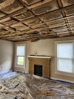 Tear out of ceiling and fireplace wall in living room