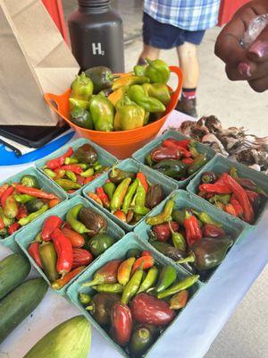 variety of peppers