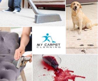 carpet cleaning, stain removal, upholstery cleaning and more...