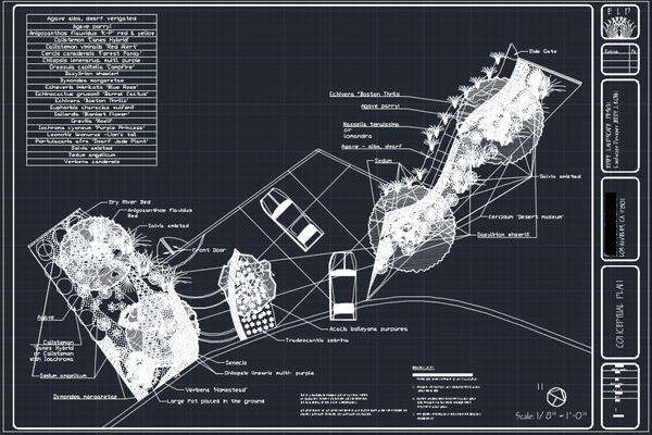 Landscape Conceptual Plan