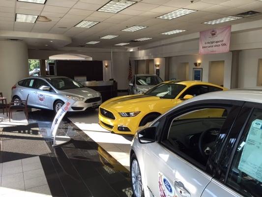 Our Ford Showroom