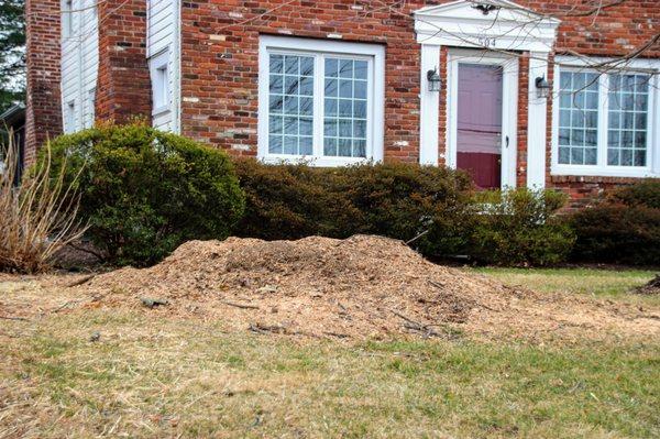 Mazzocchi Landscaping And Tree Removal