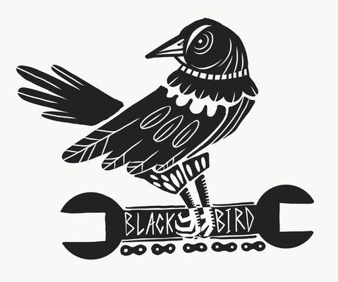 Black Bird Bike Co