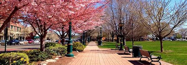 Our office is located on the beautiful Branford Town Green