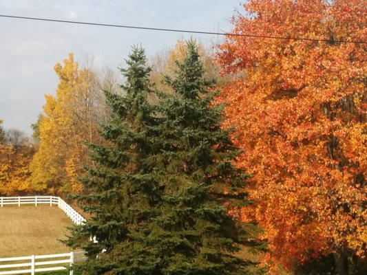 Harmony Hills Equestrian Center