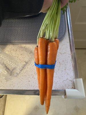 Carrots ready the Easter Bunny!!