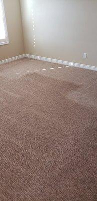 Carpet Cleaning