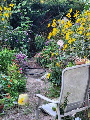 Perennial gardens are a specialty