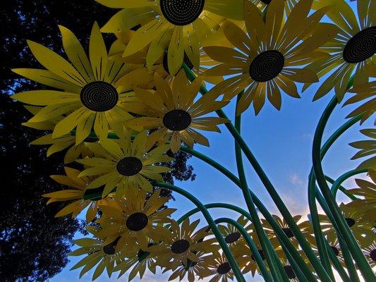 View looking up toward the sky